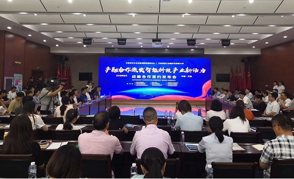 世界杯官网线上平台,世界杯(中国)科技喜获千万级担保授信
